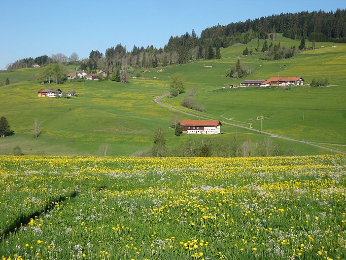 Balkonsicht