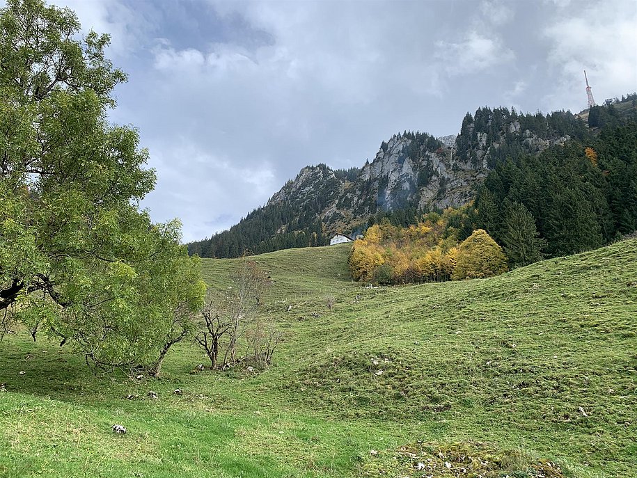Grünten