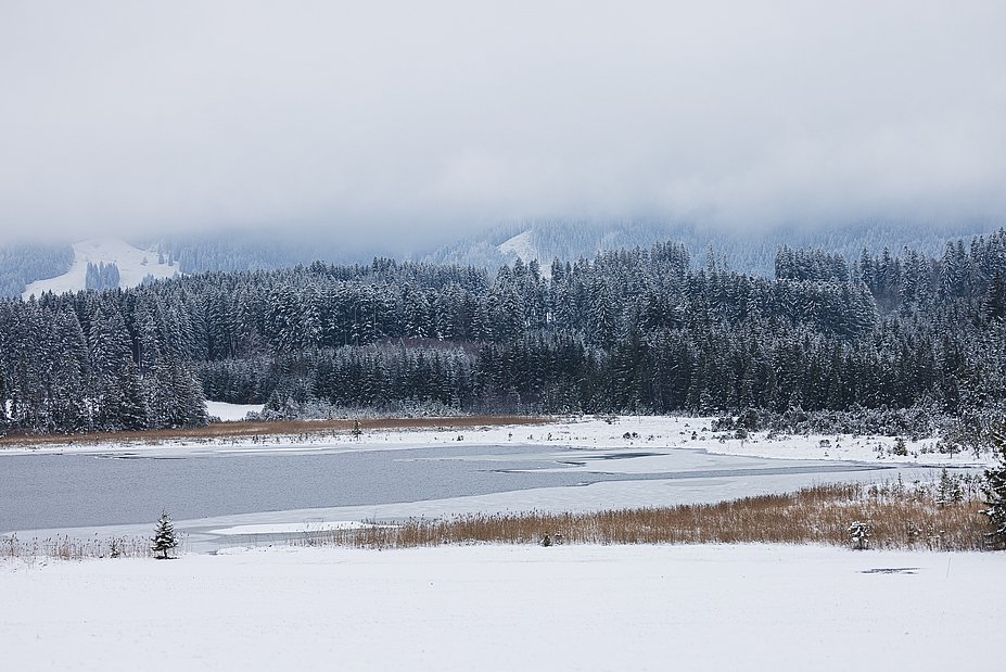 Verschneiter Attlesee