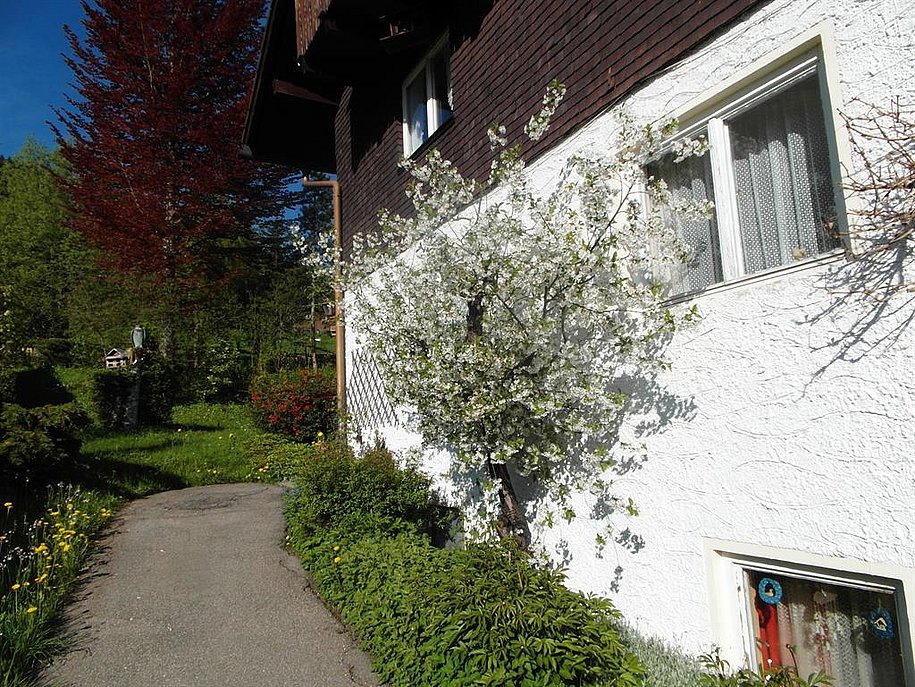 Hausansicht Süden Frühling