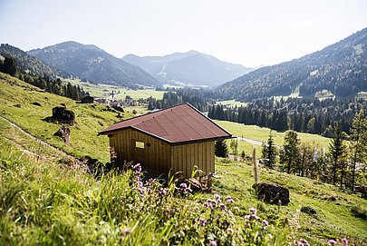 Panoramahütte aus Holz mit Blick über des Balderschwanger Tal