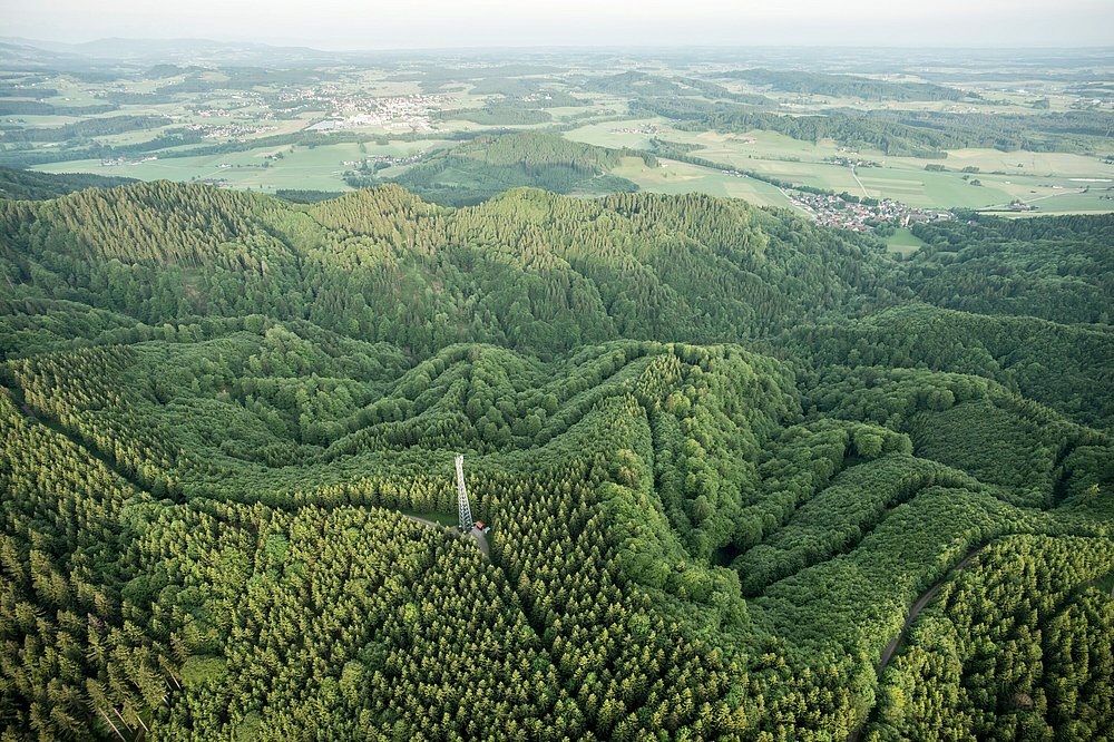 Bewaldete Hügel von oben
