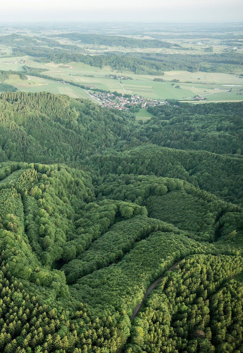 Bewaldete Hügel von oben