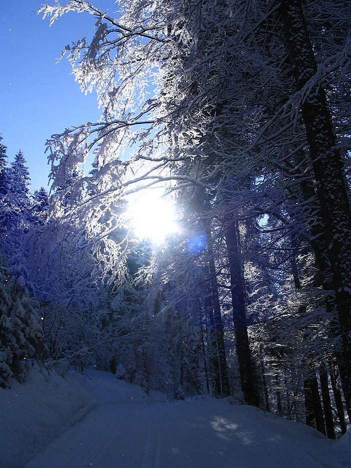 Winterimpressionen LL-Schönenbach