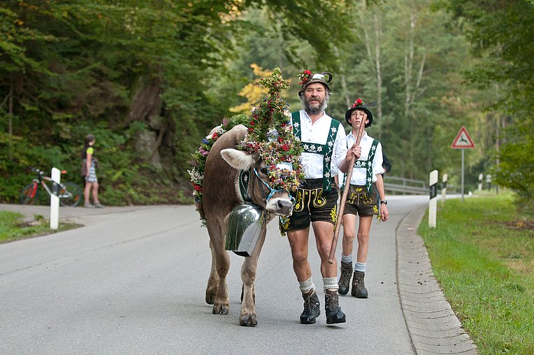 Viehschied Obermaiselstein Kranzrind mit Älpler in Tracht