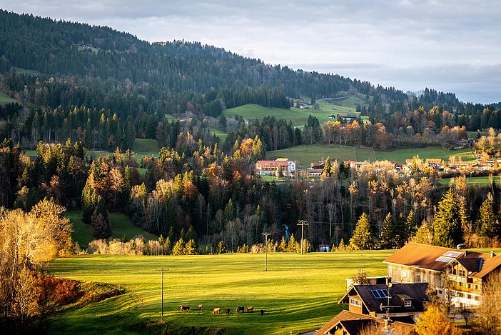 Eibele Chalets Obserstaufen Panorama
