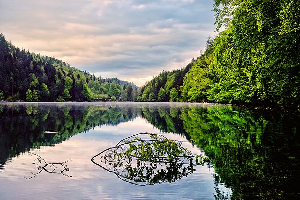 Alatsee umgeben von Bäumen, die sich im Wasser spiegeln