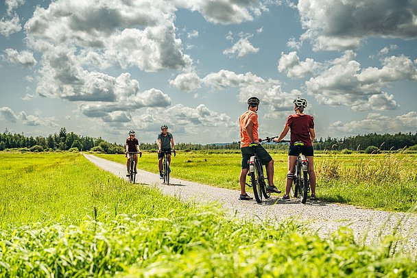 Zwei Radler warten auf zwei andere Radler auf Weg durch Wiese