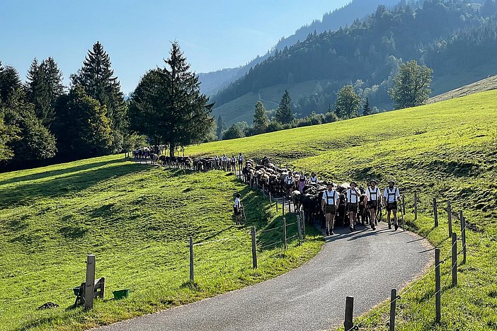 Eibele-Chalets_Almabtrieb