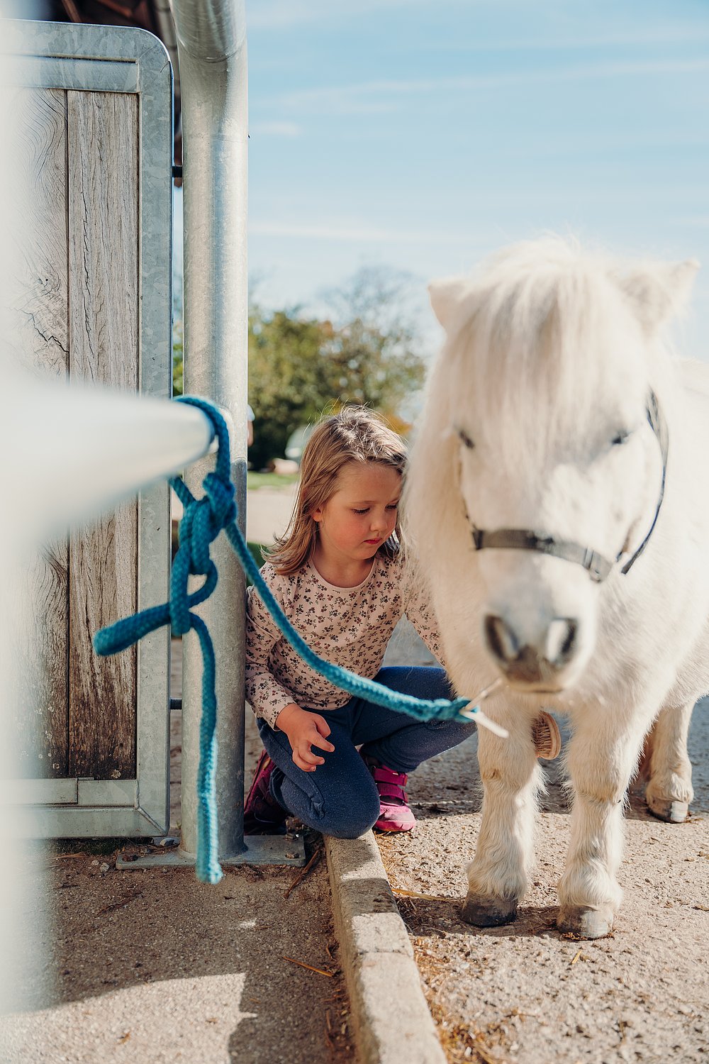 Mädchen mit Minipony