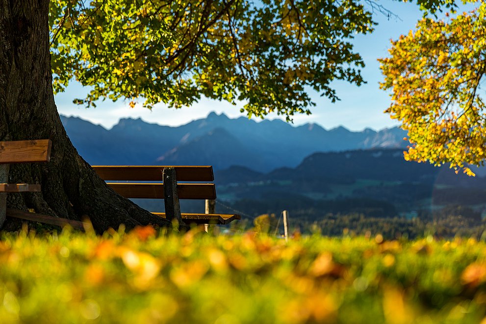 Naturerlebnisse im Allgäu