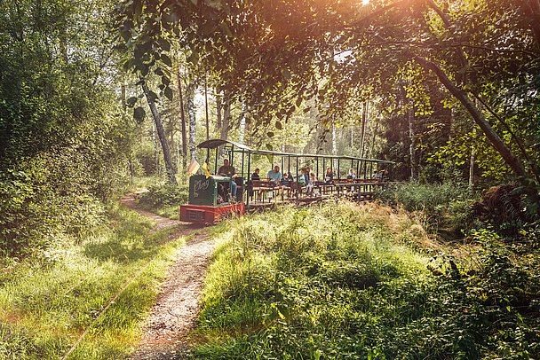 Torfbahn fährt durchs Wurzacher Ried