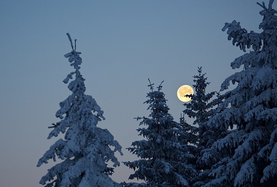 Winterwanderung bei Vollmond in verschnneiter Landschaft