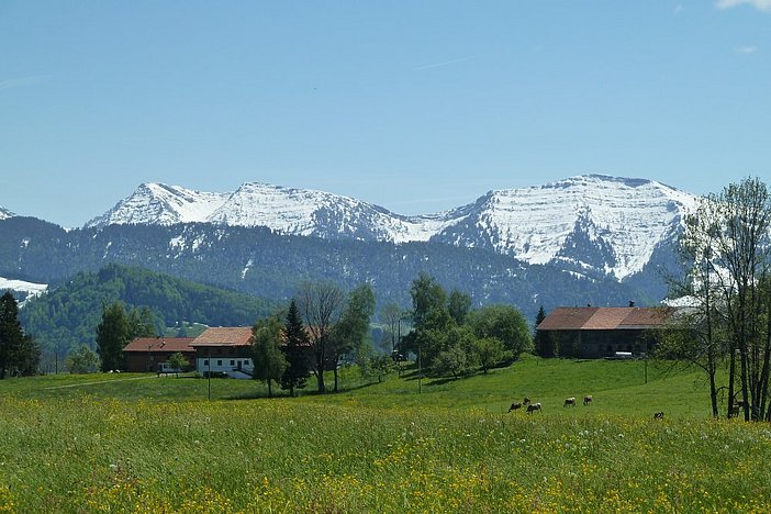 Der Frühling im Allgäu