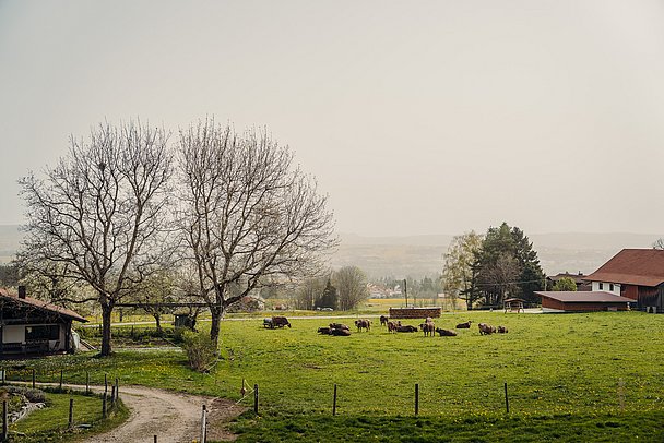 Saharastaub über dem Schwärzler Hof