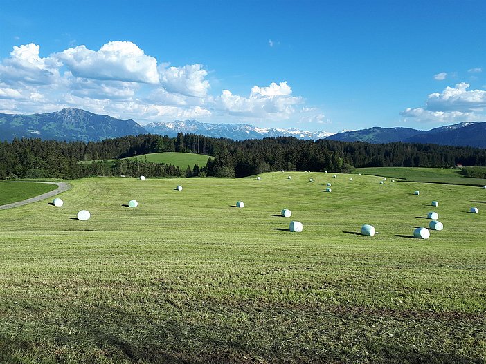Foto direkt am Hof