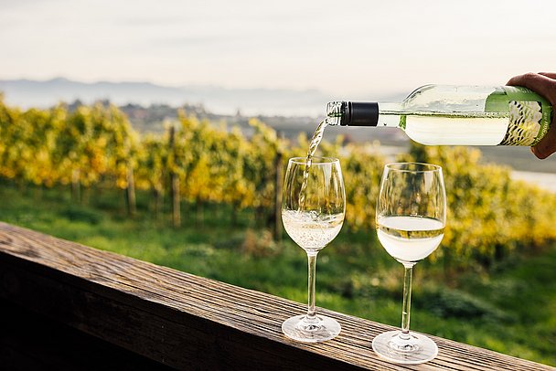 Weißweingläser werden aufgefüllt, im Hintergrund sind Weinberge und der Bodensee