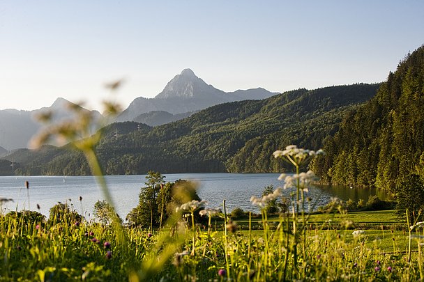 Weißensee mit bewaldeten Hügeln und Bergen im Hintergrund