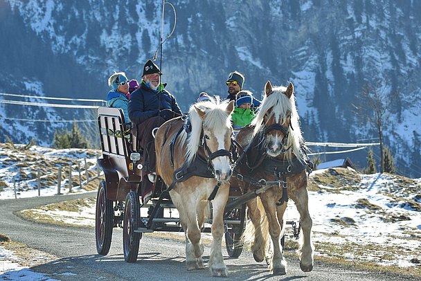 Kutsche von zwei Pferden gezogen im winterlichen Hintersteiner Tal