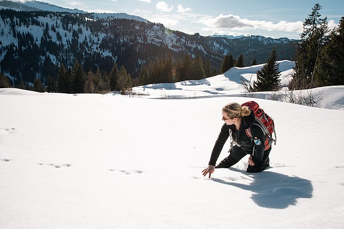 Wald im Winter: Rangerin Britta Löw auf Spurensuche im Tiefschnee
