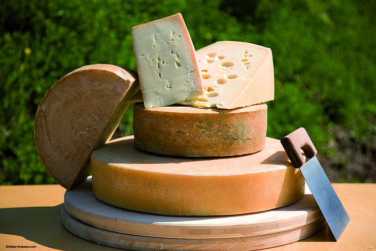 Käse