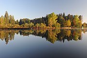 Waldsee