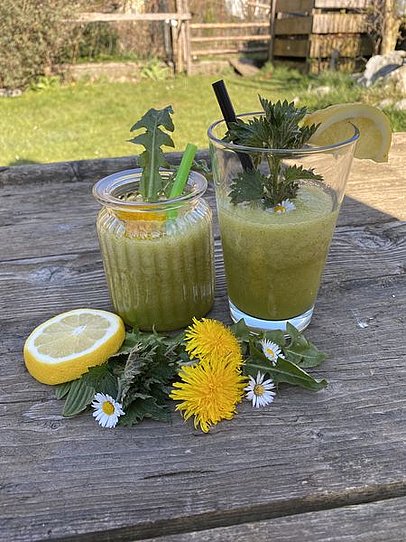 Smoothie aus Kräutern in einem Glas auf einem Gartentisch