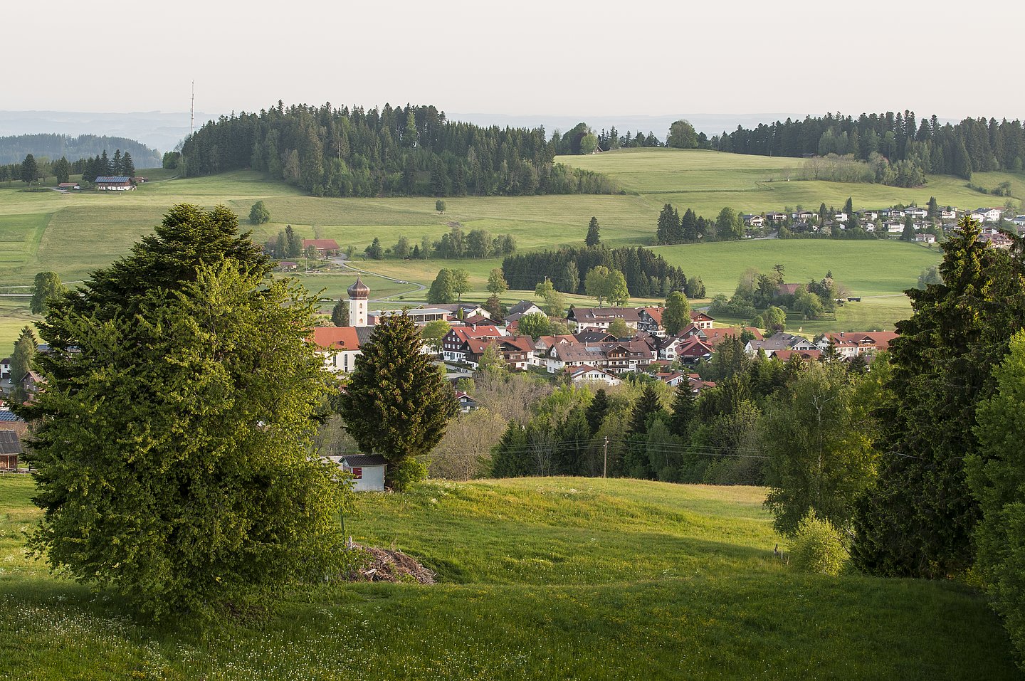 Oberreute