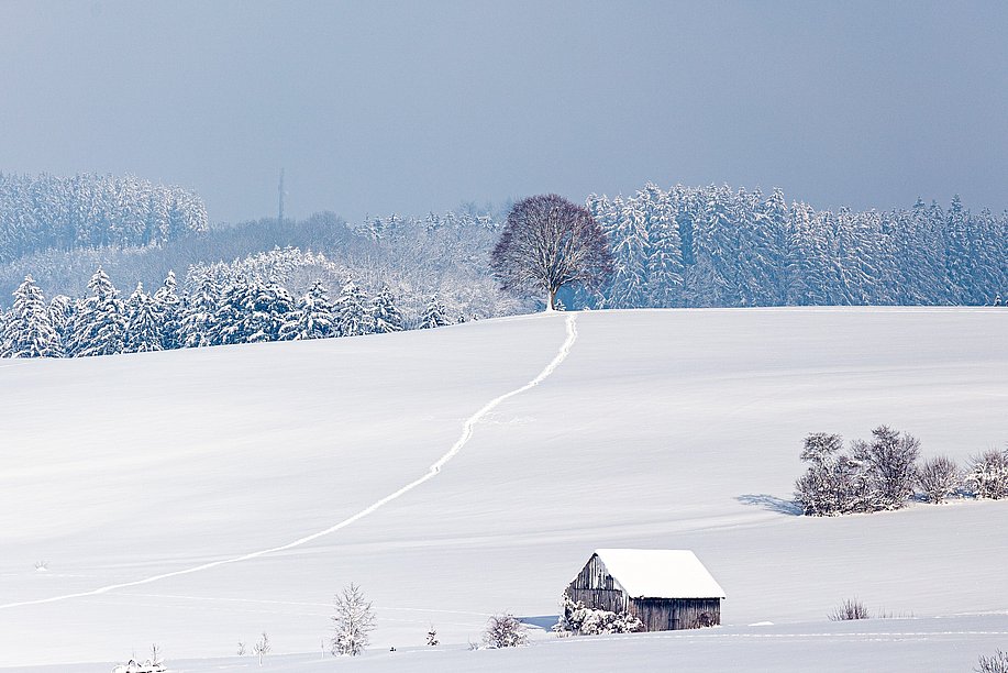 Verschneite Winterlandschaft 