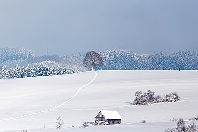 Verschneite Winterlandschaft 