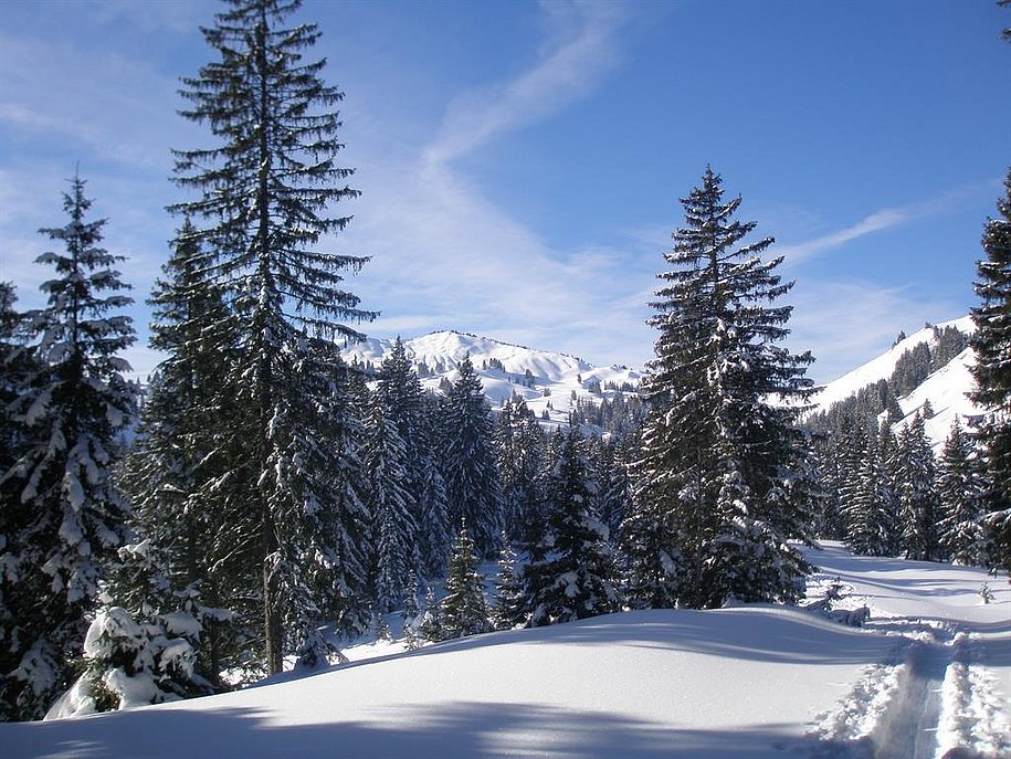 Bleicherhorn