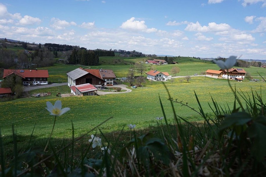 Blick vom Hügel
