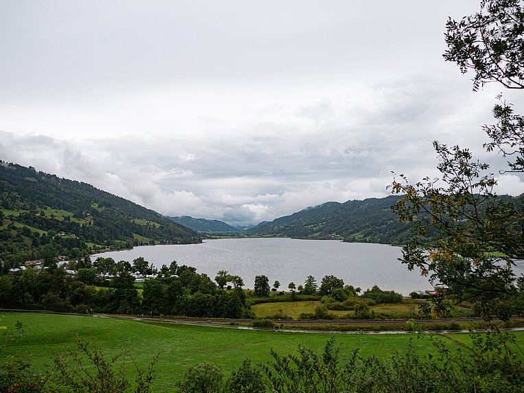Aussichtspunkt auf den Großen Alpsee