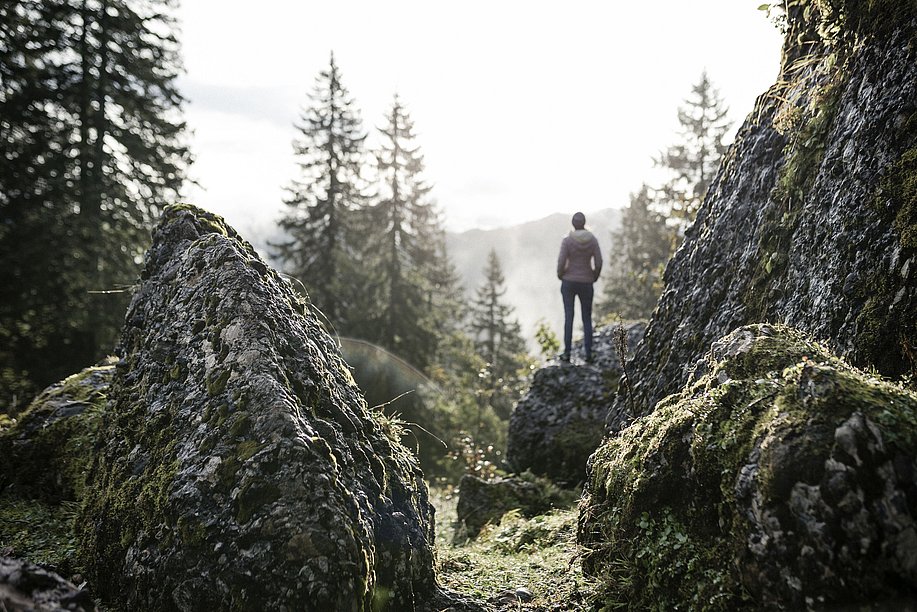 Mann steht zwischen großen Felsen und FIchten