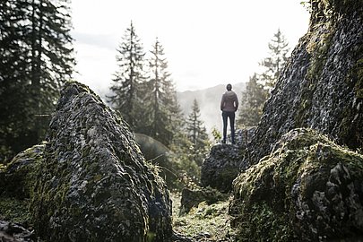 Mann steht zwischen großen Felsen und FIchten
