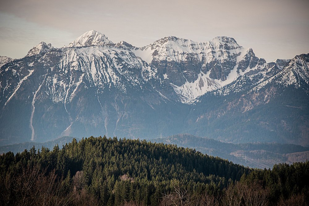 Berge mit Schnee, davor ein bewaldeter Hügel