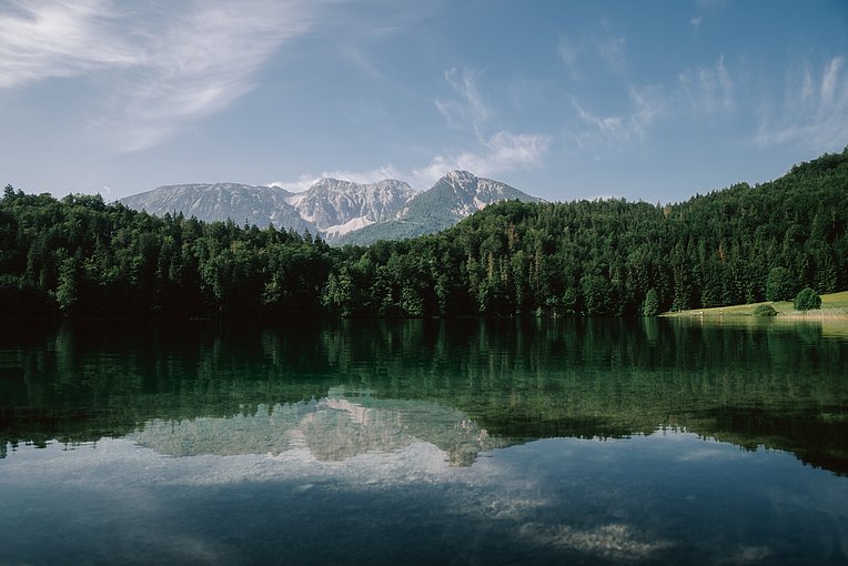 Alatsee mit bewaldetem Ufer und Bergen im Hintergrund