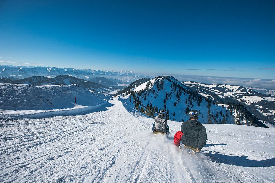 Zwei Rodler auf der Rodelstrecke am Hochgrat mit tollem Ausblick über die Berge