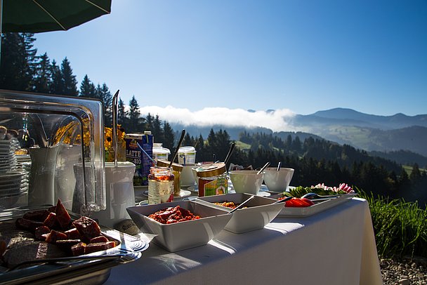 4_schwalbennest_bild-5