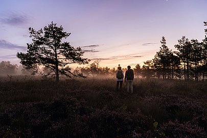 Zwei Wanderer in einer nebeligen Moorlandschaft in dämmeriger Stimmung