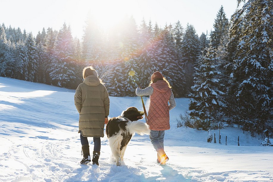 Zwei Freundinnen laufen mit Hund im Schnee Zwei Freundinnen laufen mit Hund im Schnee