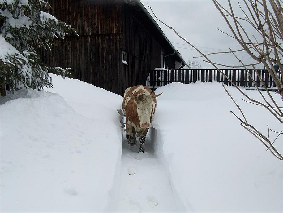 Winterwanderung