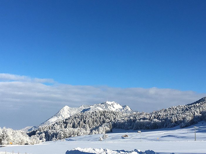 Blick vom Haus Richtung Grünten