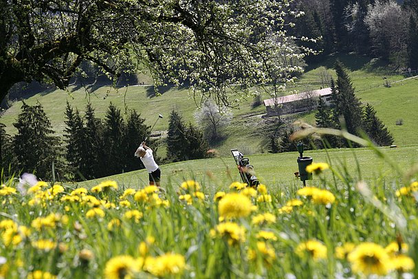 fruehling-2012-013-favorit