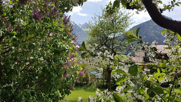 IMG-20180501-WA0040