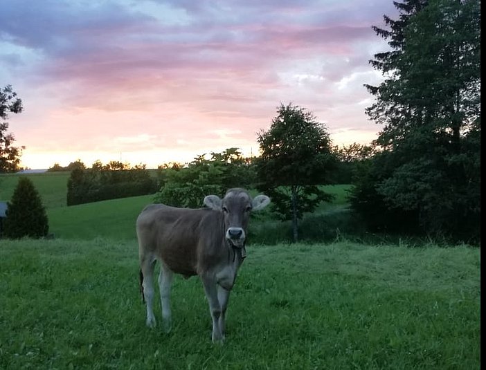 Abendstimmung