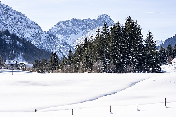 Der verschneite Widderstein vom Tal aus gesehen