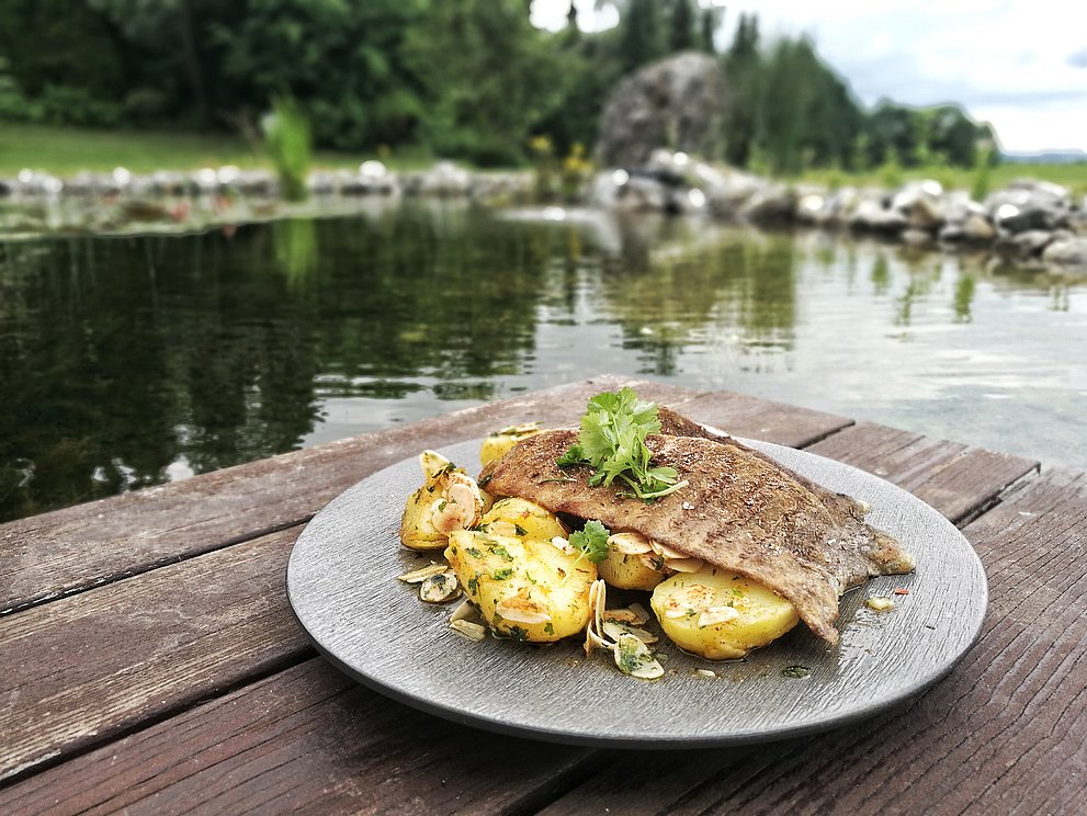 Gegrillte Forellenfilets Allgäuer Art nach einem Rezept von Christian Henze 