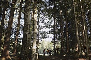 Wandergruppe steht am Waldrand, im Vordergrund hohe Bäume