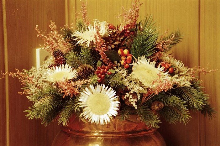 Distel